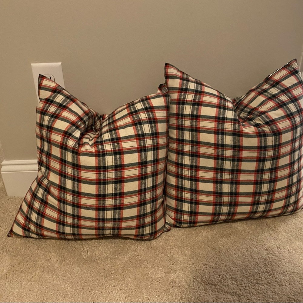 Feather filled pillows with zippers.